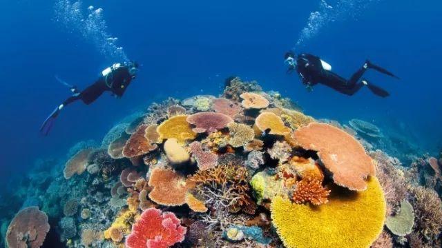 乌兰浩特市：“蒙雀”“信孚”特色养殖彰显蓬勃动力