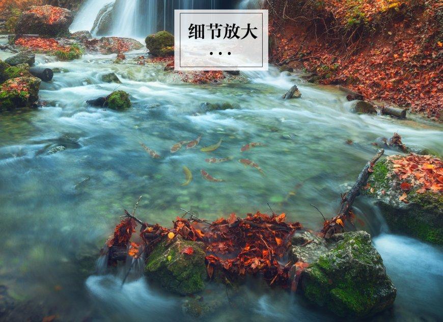 如何评价《萤火之森》这部动漫？游戏画面